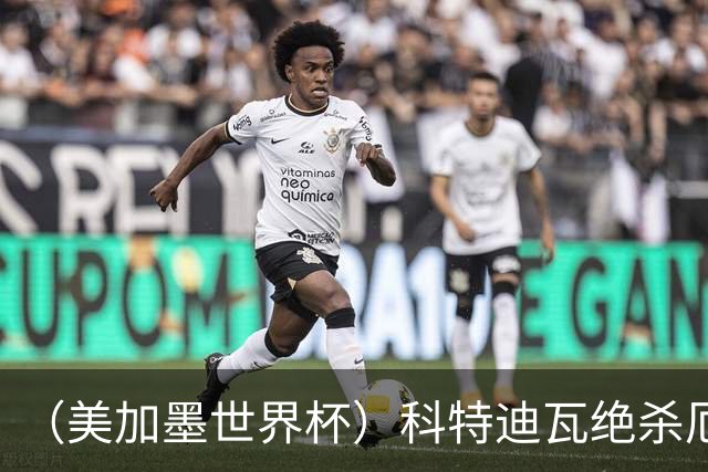 （美加墨世界杯）科特迪瓦绝杀厄瓜多尔 瑞典5:1大胜突尼斯